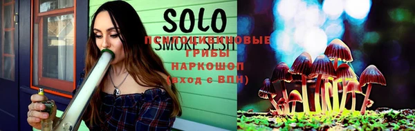 PSILOCYBIN Бородино