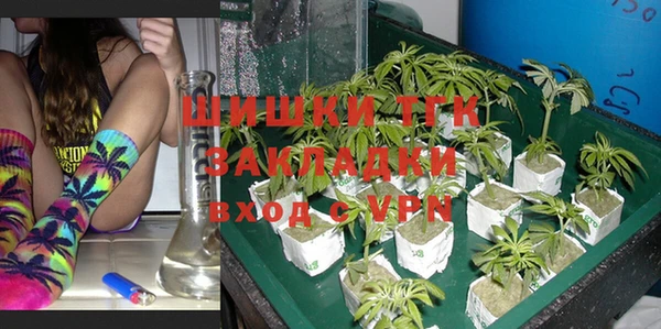 PSILOCYBIN Бородино