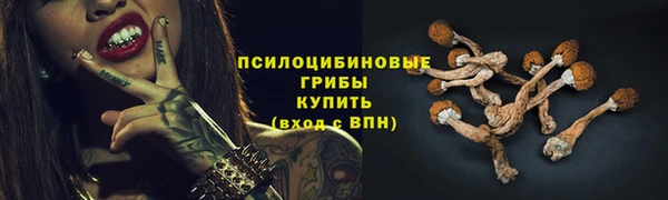 PSILOCYBIN Бородино
