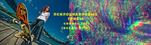 PSILOCYBIN Бородино