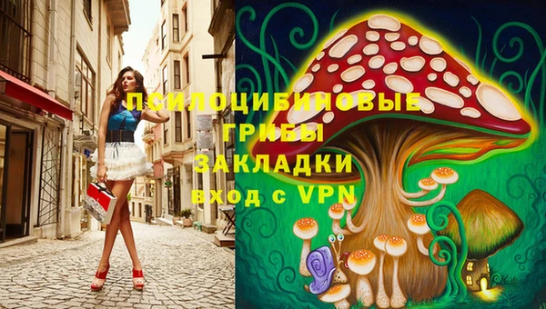 2c-b Бронницы