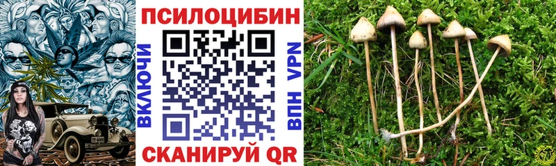 Галлюциногенные грибы мухоморы как найти закладки Клин